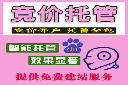 电商平台信息流广告的创意与执行案例分析